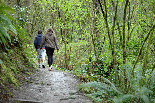 Rose City Ranging: Portland residents Kyle Kirburry and Lauren Naone hike the trail to Council Crest. The Council Crest hike is one of several that start in the Portland metro area.