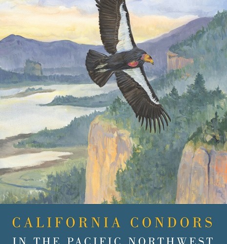 California Condors in the Pacific Northwest